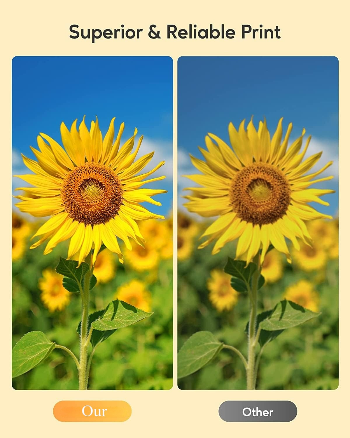 Canon 250 251XXL ink cartridge print quality comparison - produces superior and reliable prints with vibrant colors, compatible with Canon Pixma printers
